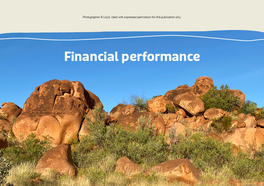 2023annualreport_financial_performance