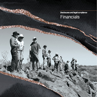 annual report 2020-21 financials